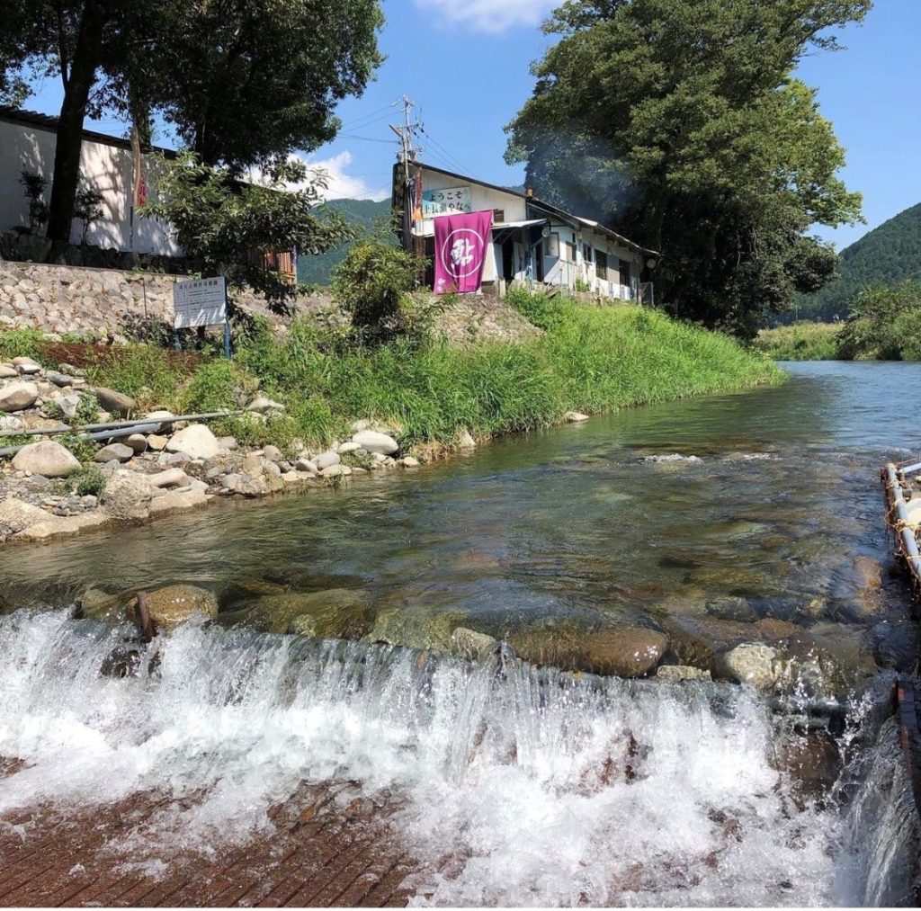 やなって何？日本の伝統漁法を岐阜・根尾川の鮎料理店が解説 🐟