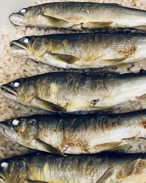 🐟 来年こそは鮎に挑戦してみたい方へ｜初めてでも安心の鮎料理ガイド