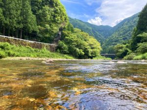 岐阜・根尾川の自然を満喫!😊 和亭周辺で「やな体験以外」に楽しめる過ごし方ガイド