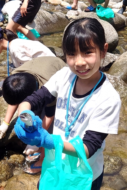 🐟 初夏の若鮎と秋鮎の味の違い|根尾川の四季が育む「清流の女王」の魅力 🌿