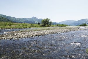 🐟 鮎の旬はいつ?季節ごとの味わいと根尾川の魅力を徹底解説|上長瀬やな 和亭