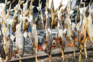 串打ちの芸術 🐟✨ ──鮎を美しく、美味しく焼くための熟練の技