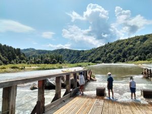 「やな漁」は、川の流れそのものを利用して魚を迎えにいく、日本ならではの伝統漁法です🐟🌊