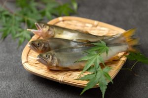 地元の人が語る鮎の思い出 🐟✨