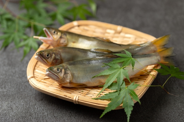 地元の人が語る鮎の思い出 🐟✨