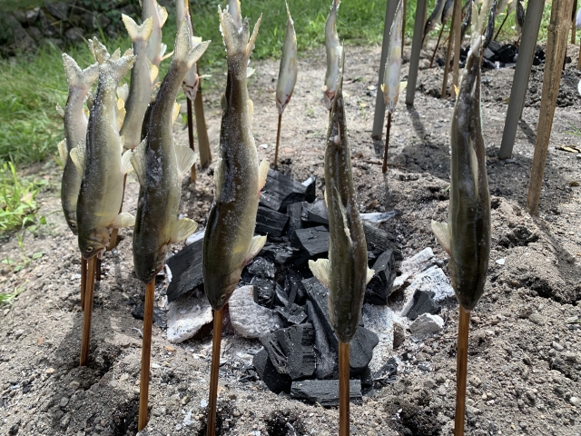 鮎を炭火で焼いているとき「ピクッ」と動いて見えるのはなぜ？🐟🔥