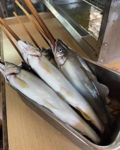 川魚は本当に「臭い」？🐟 根尾川の鮎で変わる、川魚のイメージ