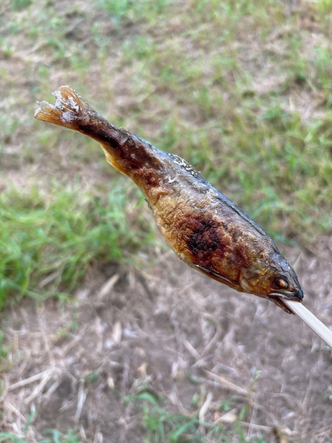 🐟 鮎の旬はいつ?季節ごとの味わいと日本の鮎文化を徹底解説