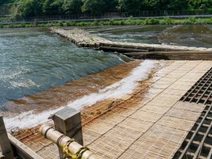 🎋 やな漁の歴史|1300年以上続く日本の伝統漁法と根尾川