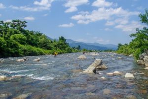 🎣 鮎漁の解禁日ってどうやって決まるの？根尾川の「やな」から見た鮎シーズンの裏側