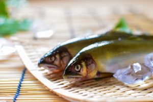 やなと旅人の歴史 🐟🌊