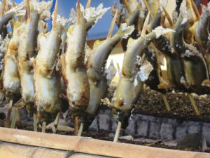 やなは天然のフィルター?川の浄化作用と根尾川の自然のしくみ 🐟🌊