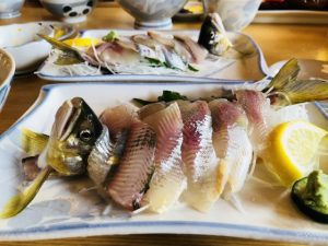 🌊 岐阜・根尾川は"鮎の川"──世界に誇れる清流の魅力