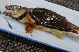 🏞️ 川の水の透明度で「鮎の豊漁」を予想する? ~昔の知恵と根尾川の鮎の話~