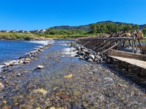 🐟 川辺の石に残る、鮎からの小さなメッセージ
