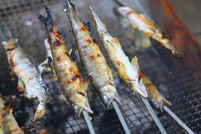 🐟 岐阜の鮎文化は"清流の国ぎふ"ブランドの原点