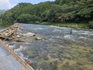 🐟🎐 お盆シーズンに鮎を食べるのは"夏の行事食"だった?