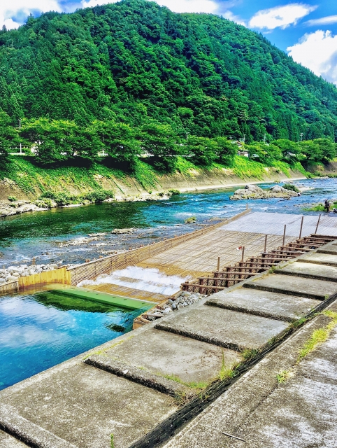 🐟 漁師の知恵|鮎は月明かりで動きが変わる!?