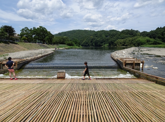🎣 やなで鮎をとるのは、子どもでも楽しめる"天然の遊び場"
